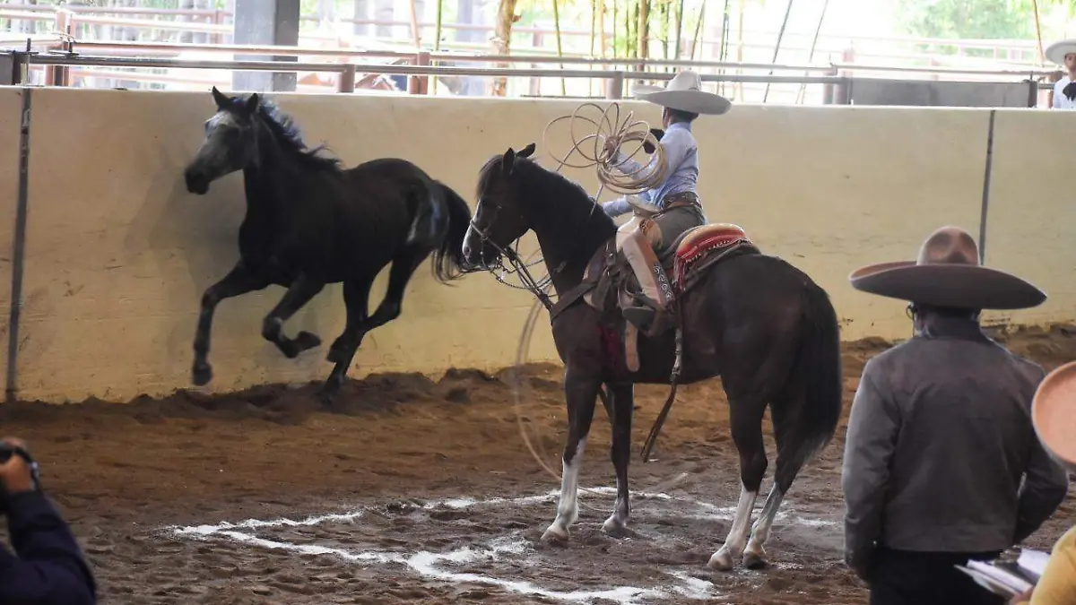 comppetencia de charros completos en el pitayo